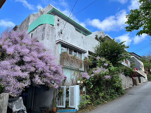 「城北のメイフラワー」（石嶺町）